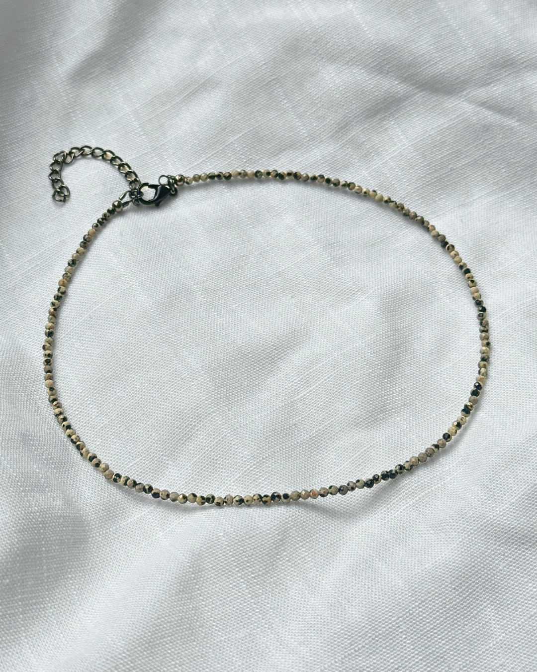 Mini Dalmatian Jasper