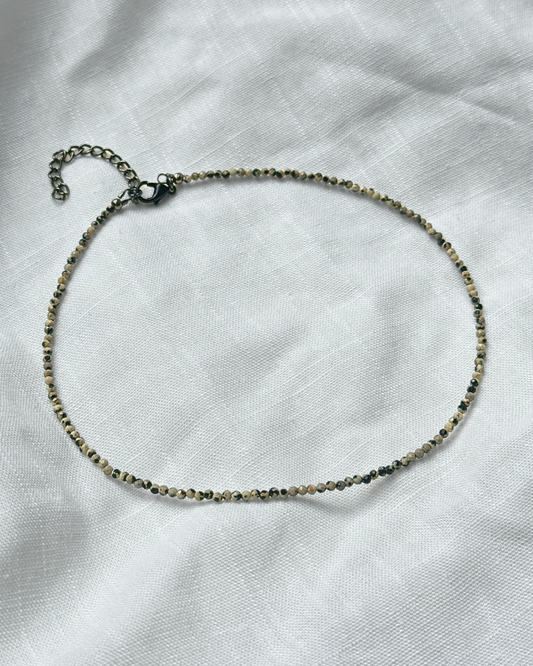 Mini Dalmatian Jasper