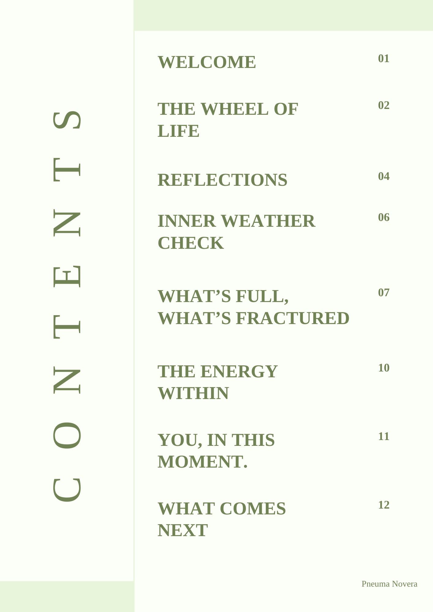 State of Self Workbook