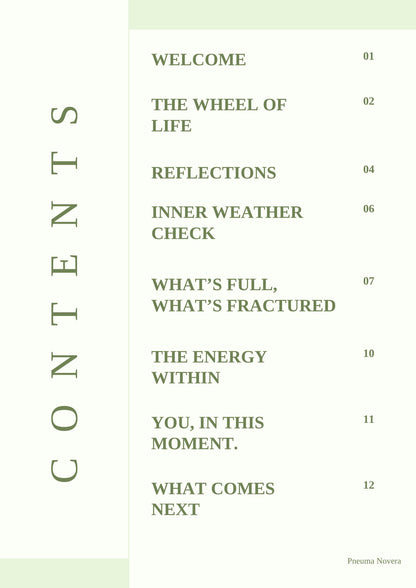 State of Self Workbook