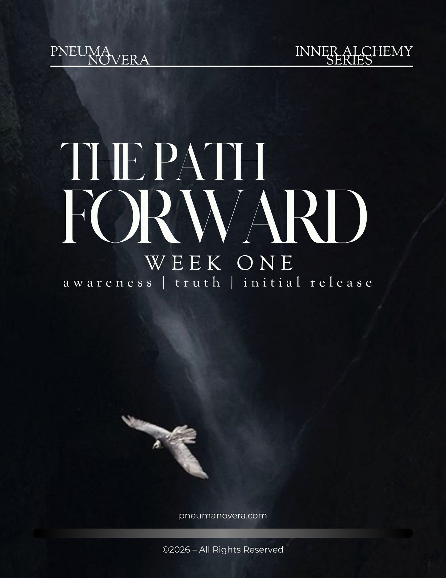 The Path Forward - Week 1